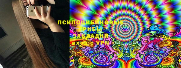 хмурый Аркадак