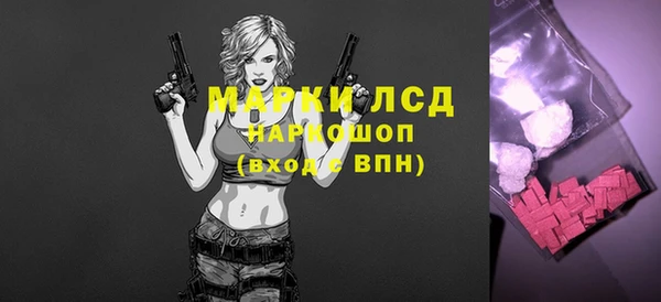 хмурый Аркадак