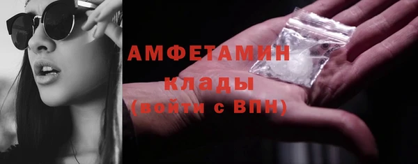 хмурый Аркадак