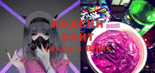 хмурый Аркадак