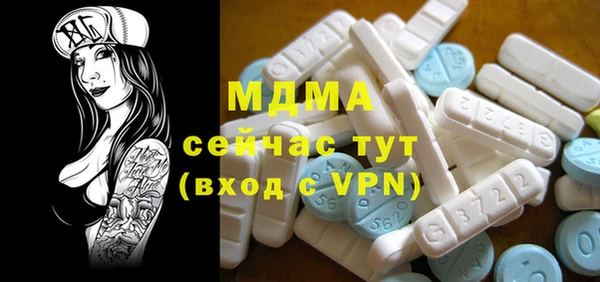 хмурый Аркадак