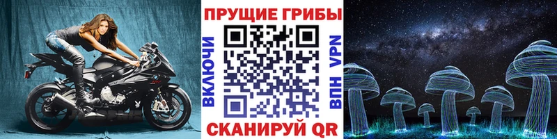 Галлюциногенные грибы Psilocybe  hydra вход  Голицыно  где можно купить наркотик 